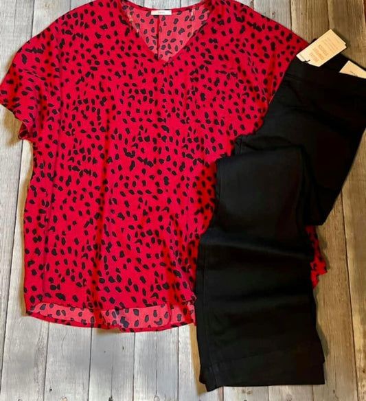 Short Sleeve Vneck