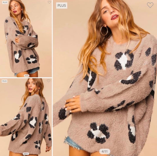 Cheetah lovers